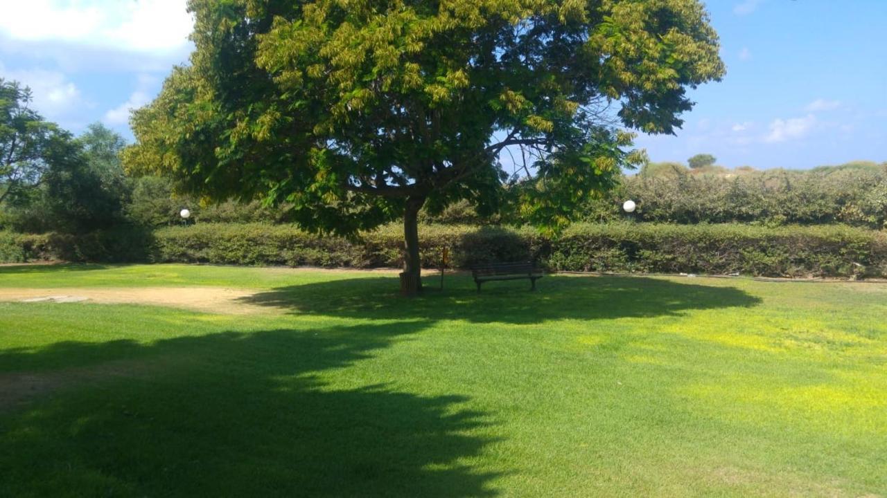 Liz Suite Caesarea Luaran gambar