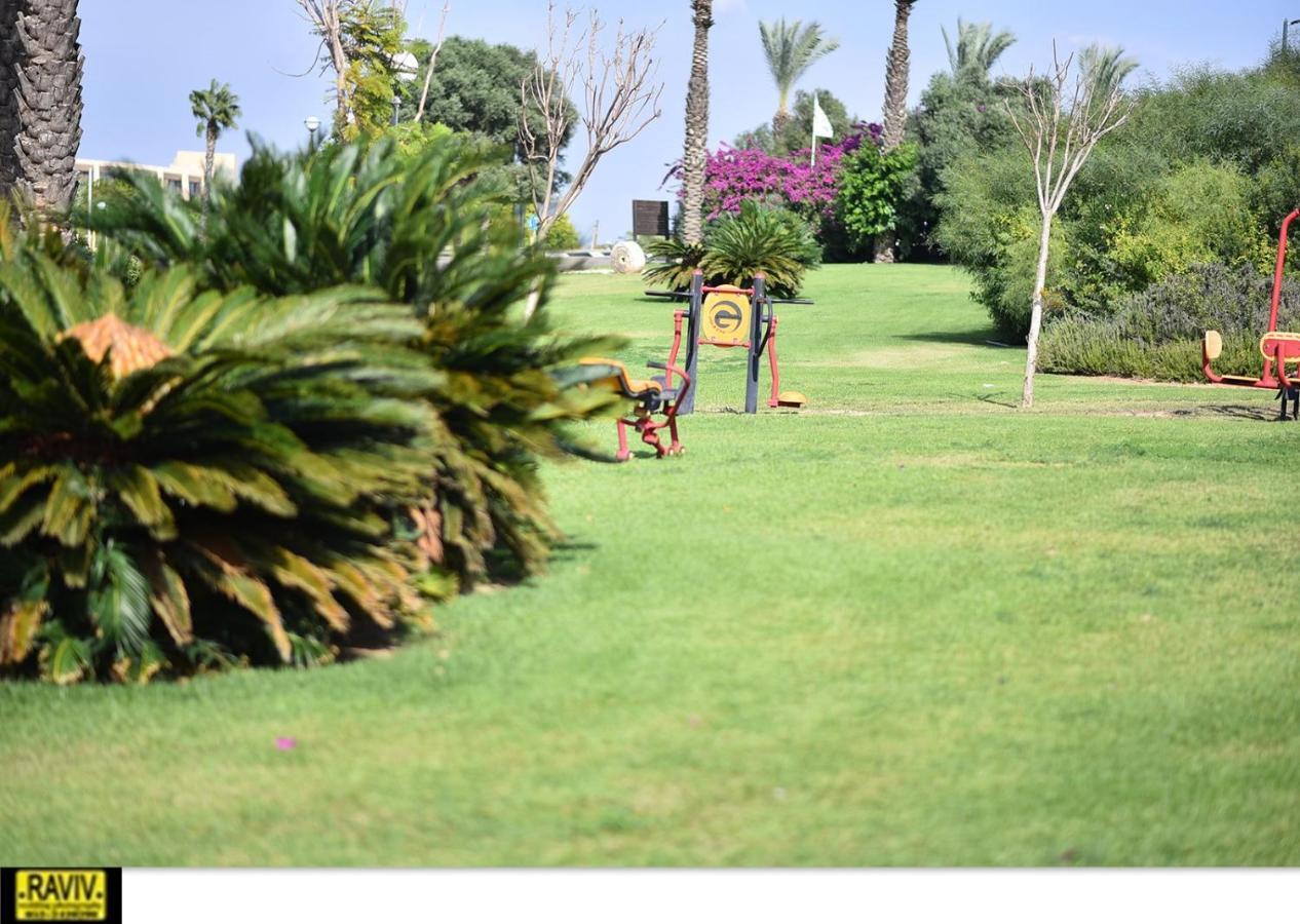 Liz Suite Caesarea Luaran gambar